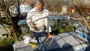 Дустим пчел чесноком и перцем - Новый метод против варроатоза и аскафероза