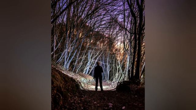 ГРЯЗЬ ЛЕЧИТ, А НЕ КАЛЕЧИТ. смотреть онлайн