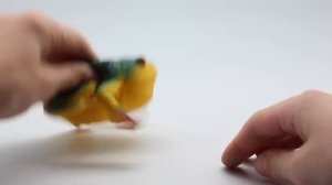 Лягушки  Maxi - сразу три штуки!