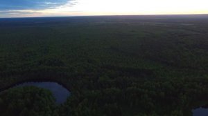 Релакс видео полёт над тайгой