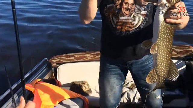 Рыбалка щука без подсачника руками смотреть онлайн