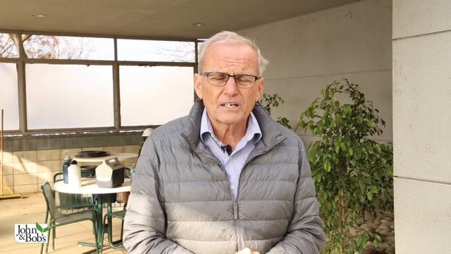 Atrium Ideas  Low Maintenance Atrium