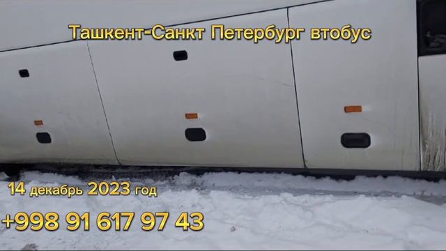 санкт петербург-ташкент автобус￼ ташкент-санкт петербург автобус￼ #tashkent #sanktpeterburg #avtobu