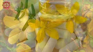 Зверобой — волшебная трава: гормонов счастья много не бывает. Наши бабушки лечили хандру зверобоем!