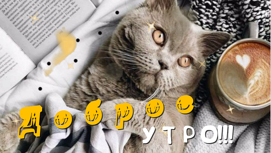 С добрым утречком, хорошего денечка! Хочется пожелать чудесной погоды,