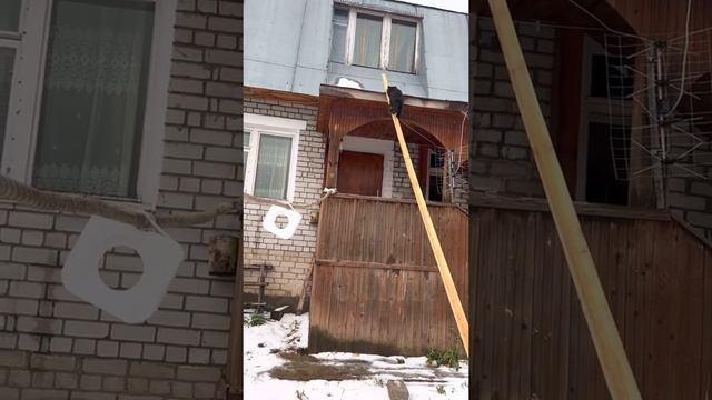 Бабушка Дарси наблюдает за тренировкой 😻 умные коты смотреть онлайн