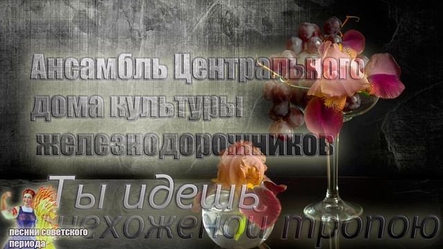 Ты идешь нехоженой тропою - (советские песни) Ансамбль ЦДКЖ