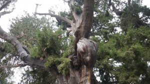 Китай 5. Пекин. Запретный город. Стена. Запрещенные факты о Китае. Программа "Полетели!"