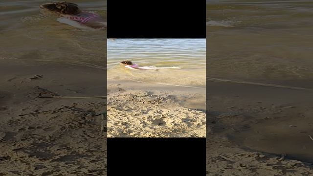 Видео с пляжа ⛱️