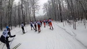 Самарский лыжный марафон Сокольи Горы 51 км 2021 Вилков