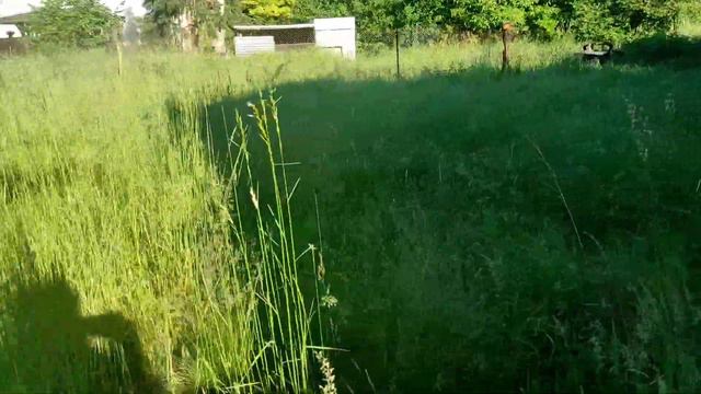 🇵🇱Vlog 3🌄Мой день в Польше. смотреть онлайн