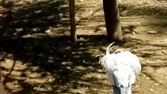 ПРИЧИНЫ ДЛЯ БЛАГОДАРНОСТИ БОГУ! смотреть онлайн