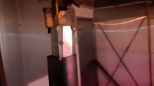 Бубафоня на отработке.