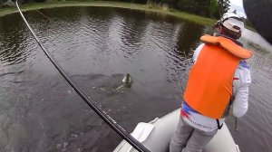 Lucky Craft Real Ayu 178 и Real Blue Gill 150 - крупные свимбейты.