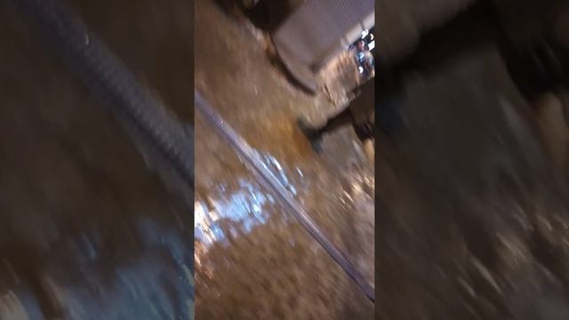 Санкт-Петербург, зима 2021-2022 куда уходят налоги? Город сказка, город мечта. смотреть онлайн