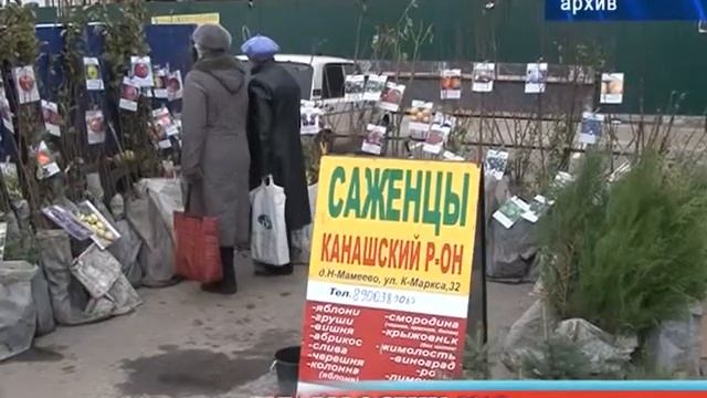 22 августа стартует ярмарка-продажа «Дары осени-2015» смотреть онлайн