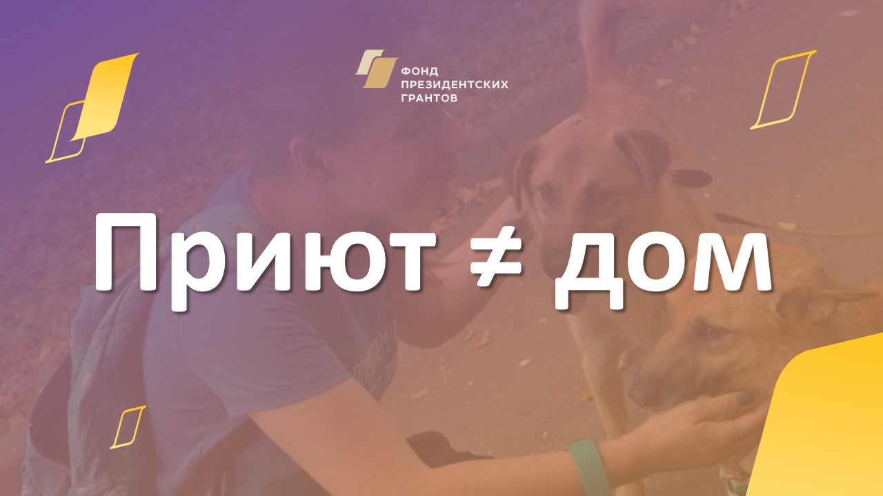 Фонд «Рэй» – для тех, кто остался без дома