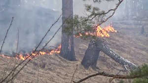 Казыр. Апрель 2020. Часть1