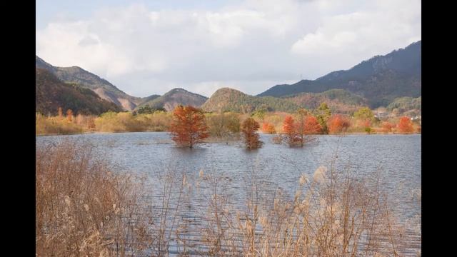 Sibelius : Piano Trio in A minor, 'Haftrask' смотреть онлайн