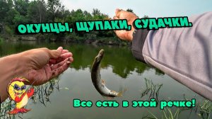 ЛОВЛЯ ХИЩНИКА С БЕРЕГА. МИКРОДЖИГ ПРИНОСИТ ПЛОДЫ.