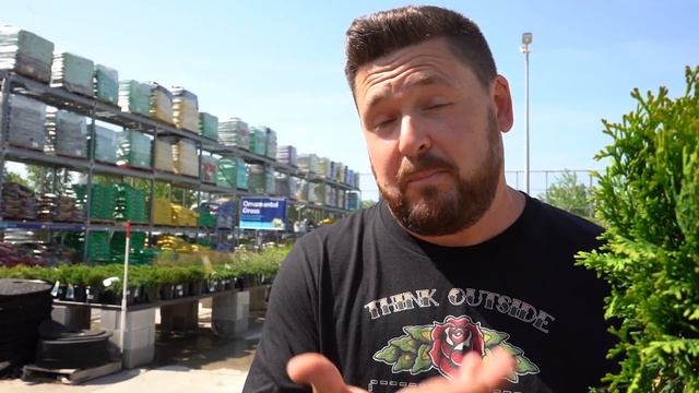 Plants For Tortoise Enclosure! смотреть онлайн