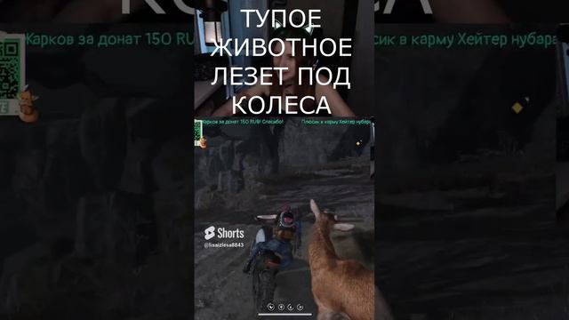 Лезет под колеса #стрим #lisaizlesa #games #стрим #twitch #oncehuman