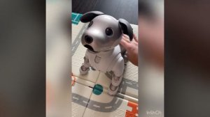 Собака-робот Sony Aibo ERS-1000