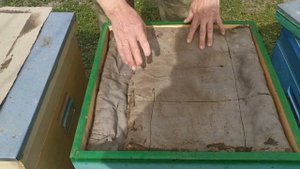 Полоски от клеща.Проверим?