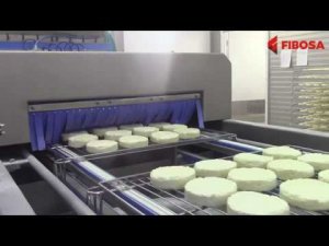 FIBOSA Производство сыров бри и камамбер | FIBOSA Production of Brie and Camembert Cheese