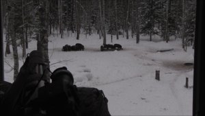 РЕЗУЛЬТАТИВНАЯ охота на ОЛЕНЯ с Pulsar Apex XD75! Охота на оленя с вышки зимой