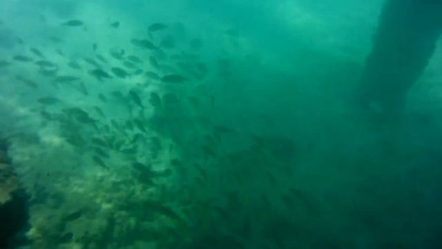карибское море, остров АРУБА