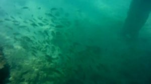 карибское море, остров АРУБА