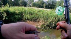 Ловля на поплавок на маленькой речке