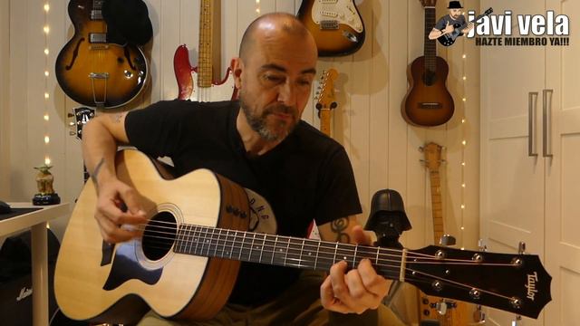 Taylor 114e смотреть онлайн