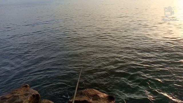 РЫБАЛКА с берега дербент 2021.вобла мечит кукурузу смотреть онлайн