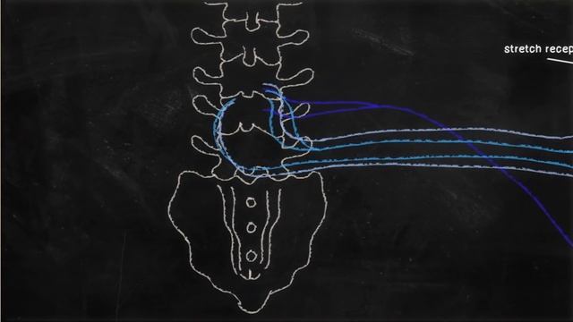 Edu: Вредно ли долго не писать? смотреть онлайн