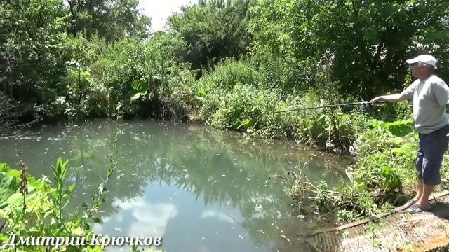 Форель. Карп. Голавль Толстолоб. Рыбалка и семейный отдых станица Чернореченская, Лабинский район смотреть онлайн