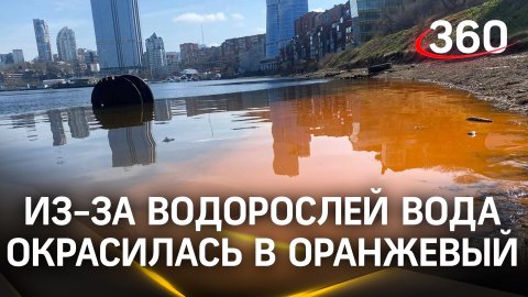 Занимательные кадры – оранжевая вода во Владивостоке: все из-за «ночной свечки»