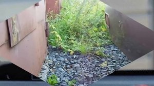 тест беспроводного парктроника с алиэкспрес