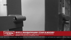 Телеканал "Санкт-Петербург" 
Программа "Степень защиты"