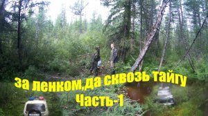 420 км сплошного бездорожья.210 км в одну сторону.Дойти,поймать и вернуться.Медведь убил сохатого.