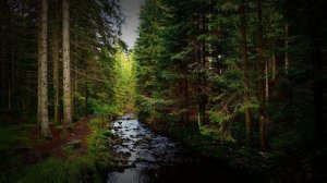 Истории из жизни 📕Мария вернулась в дом, который ей не принадлежит. Как так-то? 📘 Жизненные истории