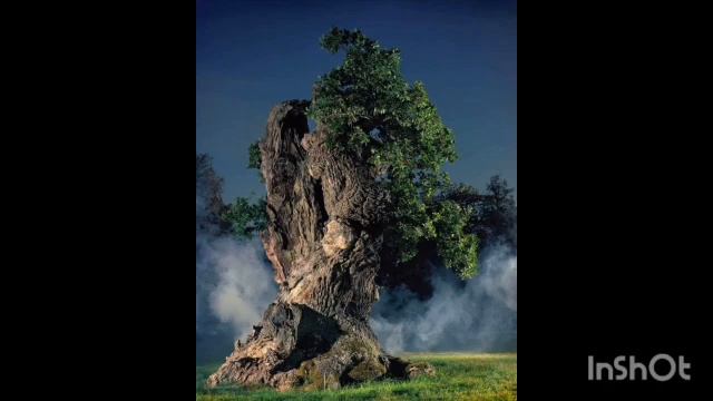 факты о Лавкрафте (2 часть) смотреть онлайн