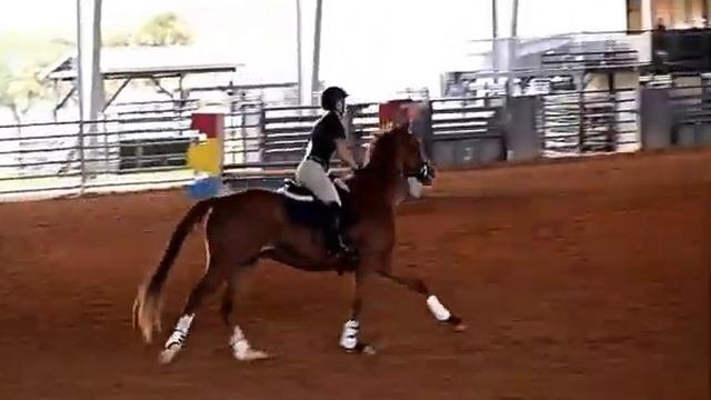 Bringbackthemagic, Andi & Magic Jumpers Classic Jump Off