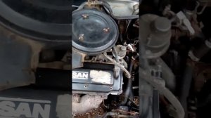 Ниссан Станза