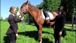 Как седлают лошадь