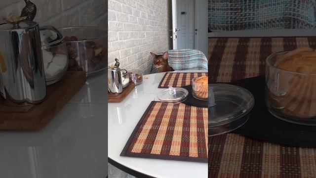 Аккуратный воришка...