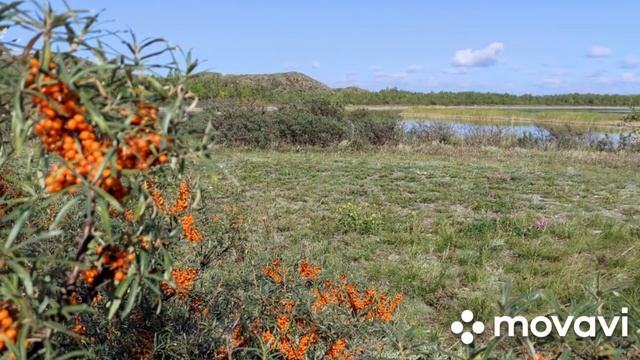 2022 08 РК Боровое Бурабай !! 2 !! Озеро Большое Чебачье !! смотреть онлайн