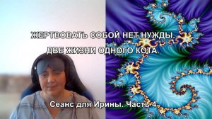 ЖЕРТВОВАТЬ СОБОЙ НЕТ НУЖДЫ. ДВЕ ЖИЗНИ ОДНОГО КОТА. Сеанс для Ирины. Часть 4