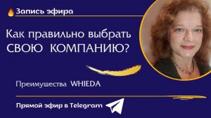 Как выбрать свою компанию для сотрудничества. Преимущества WHIEDA